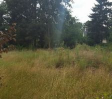 Vue du terrain avant travaux