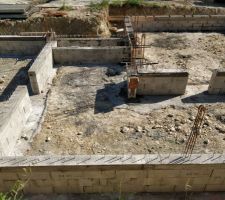 Vide sanitaire