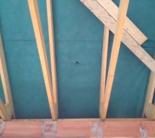 Toile verte compl&egrave;tement d&eacute;chir&eacute;