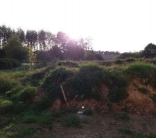 Vue de la future terrasse derri&egrave;re la maison :D