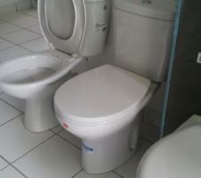 Toilettes de gauche de base Delias 4.134 Maisons Pierre Gamme confort
