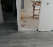 Pose parquet sans seuil de porte entre pièces