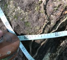 Grue 15T il fallait bien ça vu la souche