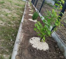 Potager en place !