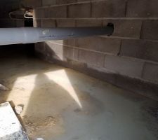 Vide Sanitaire