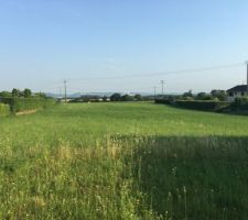 Voici la vue côté Sud du terrain ! (Et donc celle que nous aurons depuis le séjour).