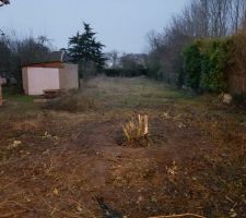 C'est parti! On commence!