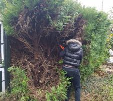 C'est parti! On commence!