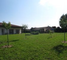 Vue du jardin, côté verger, à gauche abricotier, puis prunier, poirier et mirabellier