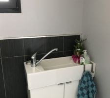 Wc choix carrelage et frise et le lave mains