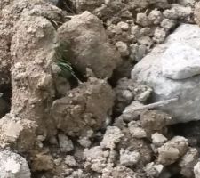 Et on étale les gravats du chemin sur tout le terrain...travail de sagoins !!! celà évite d'évacuer...mais bien sûr !