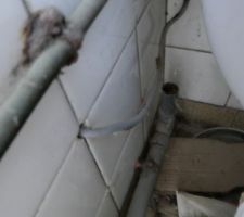 Vu de côté avec les anciens tuyaux (il y a environ 20 cm entre le mur et le debut du tuyau d'évacuation du wv) et en arrière plan le tuyau d'évacuation du sanibroyeur