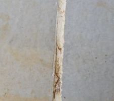 Appuie de la baie vitrée
Les deux appuis de fenêtres ne sont au même niveau, le joint est mal fait, et l'appuie est cassé dessous,
L'appuie de la baie vitré est posé sur du bois apparent a l'extérieur comme a l'intérieur, dans quelque années quand il auras pourris, cela fera un courant d'air !!!