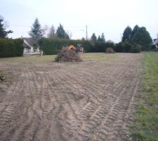Dessouchage du terrain suite...