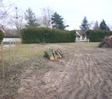 Dessouchage du terrain