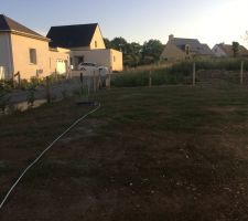 Gazon qui pousse 
&Ccedil;a vaut une mousse !!!?