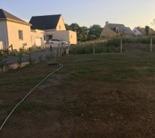 Gazon qui pousse 
&Ccedil;a vaut une mousse !!!?