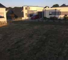 Gazon qui pousse 
&Ccedil;a vaut une mousse !!!??