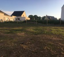 Gazon qui pousse 
&Ccedil;a vaut une mousse !!!???