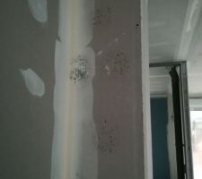 Hiver pluvieux, ravalement non fait ===> les premières moississures!