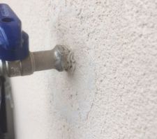Crépis et finition horrible.