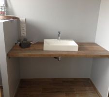 Plan de travail et vasque salle d'eau