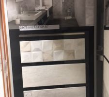 Fa&iuml;ence salle d'eau parents (les 2 du haut)