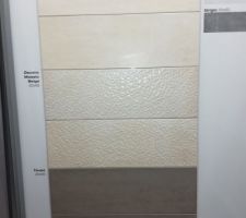 Faïence salle de bain : beige mosaïque au niveau de la colonne de douche, beige et taupe pour le reste du mur de la douche et de la baignoire