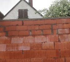 Mur trop haut : corrigé
