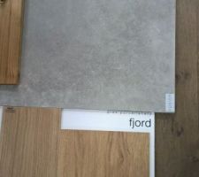 Carrelage séjour et salon (béton et effet bois) + bois plafond du salon + parquet chambre
