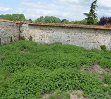 Notre terrain avant...