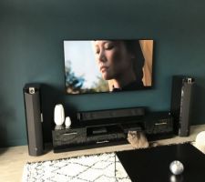 Tv avec accroche murale +gaine technique pour 4hdmi et prise optique