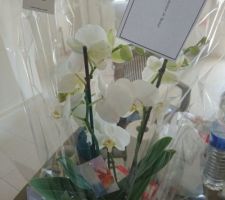 Cadeau du constructeur