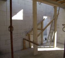 Projection de l'escalier