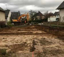 Les arbres sont enlevés