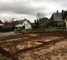 Les arbres sont enlevés