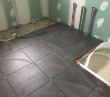 Carrelage sdb