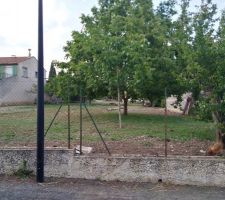 Terrain vu de la route