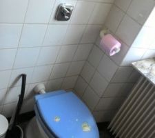 Sdb avant
