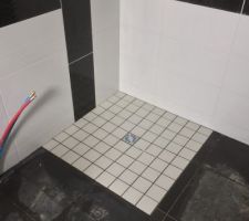 Douche &agrave; l'italienne