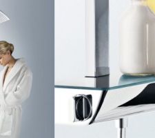 Choix des sanitaires : 

Colone de douche de la suite parentale. 

Ref Hansgrohe Raindance Select E360 

1 jet sur la douche de tête.  
3 jets sur la douchette.