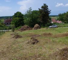 Terrain après défrichage