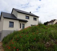 Souvenirs des coquelicots en juin