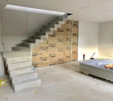 L'escalier est maintenant complètement décoffré, il y aura quelques petits ajustement sur la partie haute et dans le tournant, mais globalement nous sommes satisfait du résultat.
Pour la finition se sera en béton ciré.