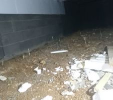 De l'herbe dans le vide sanitaire