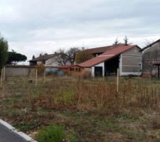 Implantation de la maison "in situ"