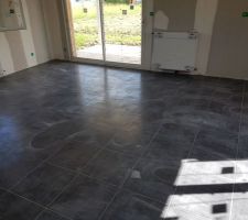 Salon - Jour 253