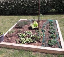 Installation du potager