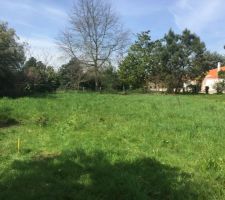 Le choix &eacute;tait tr&egrave;s restreint et nous avons fini par trouver notre bonheur. En troisi&egrave;me ligne mais id&eacute;alement situ&eacute;. Pr&egrave;s des commerces et transports, au calme et pas trop visible non plus !

L'opportunit&eacute; et les recherches nombreuses et incessantes ont fini par payer. Nous sommes tr&egrave;s heureux d'avoir trouv&eacute; notre bonheur &agrave; deux pas du centre ville !