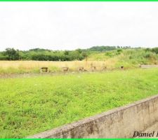 L'arriere de la maison